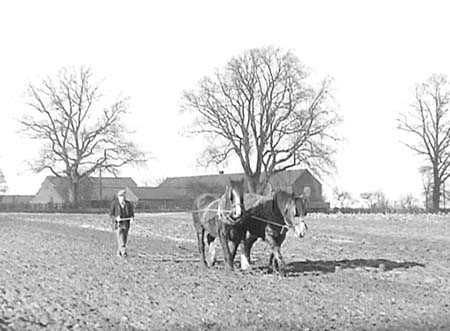 1951 Harrowing 03