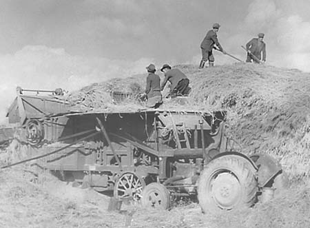 1951 Threshing 01