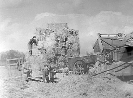 1951 Threshing 02