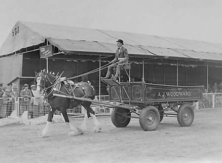 1952 AJ Woodward 02