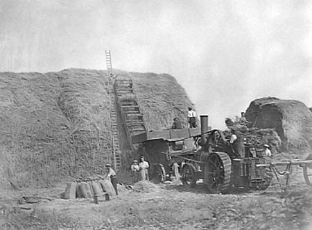 1939 Harvesting 01