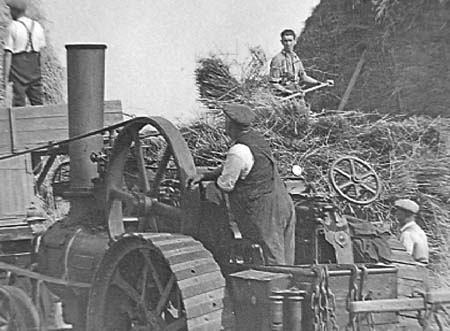1939 Harvesting 03