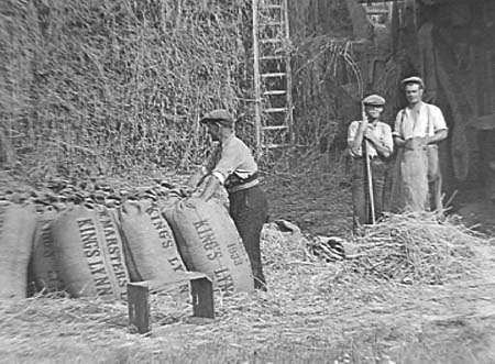 1939 Harvesting 05
