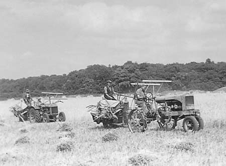 1943 Harvesting 02