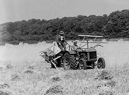 1943 Harvesting 04