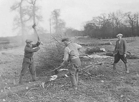 1943 Hedging 02