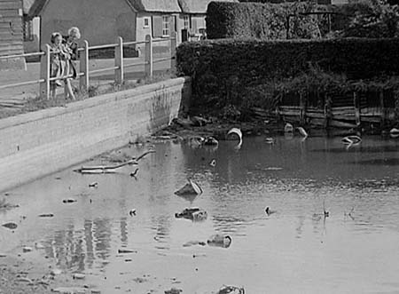 1947 Duck Pond 02
