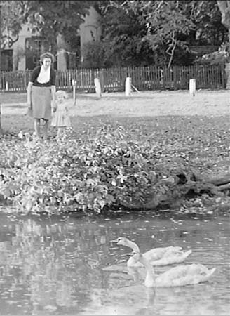 1948 Duck Pond 04