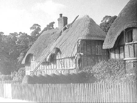Ossory Cottages 1947.3081