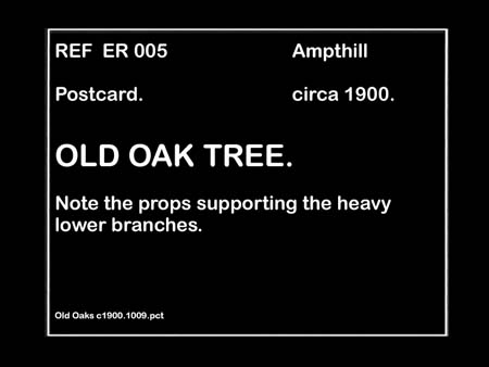  Old Oaks 01 c1900