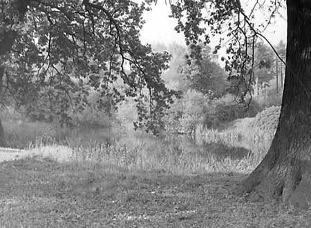  Westminster Pond 02 1952