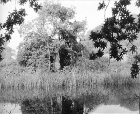  Westminster Pond.02 1960s