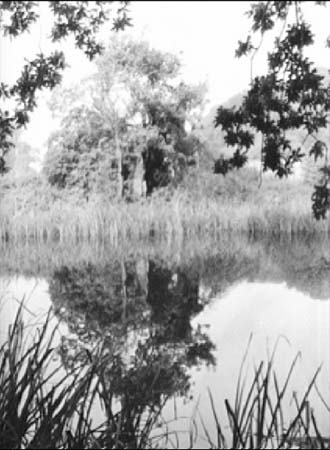  Westminster Pond.04 1960s