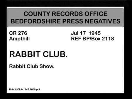 Rabbit Club 1945.2606