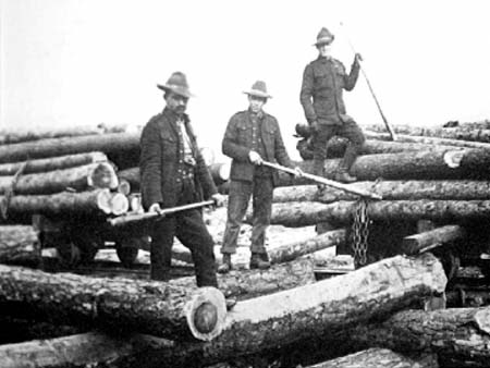 Logging 1917.4119