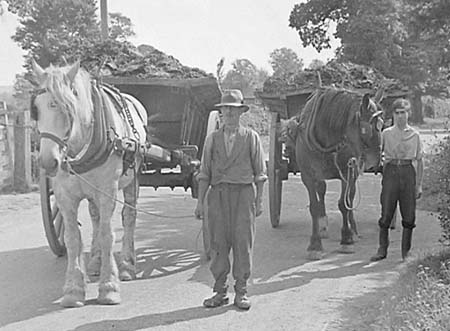 1947 Farm Work 06