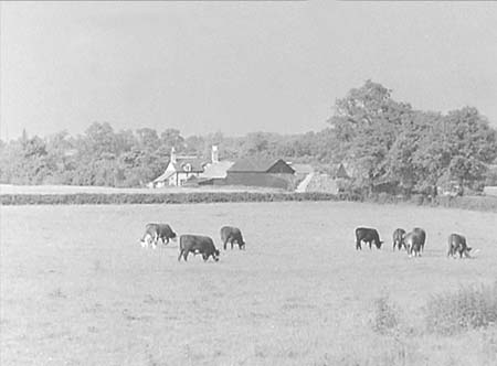 1956 Pastoral Scenes 01