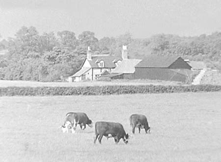 1956 Pastoral Scenes 02