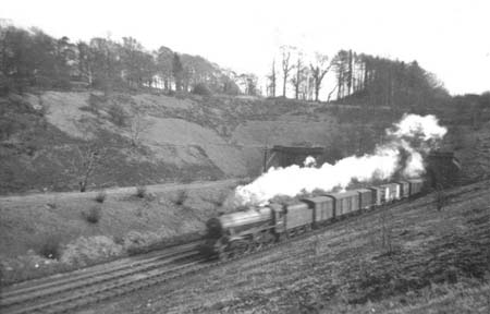 1954 Steam Locomotives 21