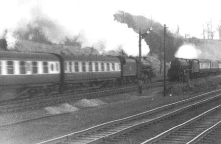 1954 Steam Locomotives 23