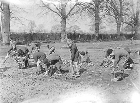 1942 Boy Gardeners 05