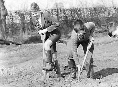 1942 Boy Gardeners 07