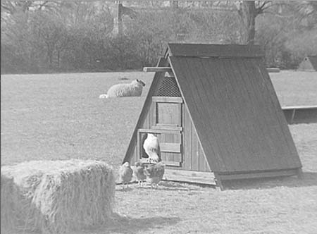 1948 Rectory Farm 03