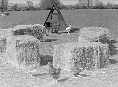 1948 Rectory Farm 04