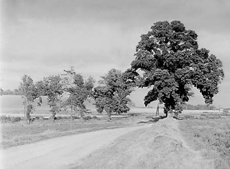 1950 Scenic Views 16