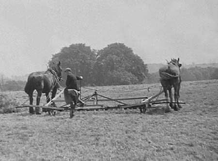 1942 Clover Harvest 05