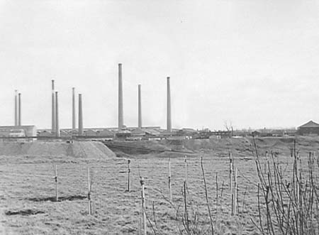 1949 Tree Planting 01