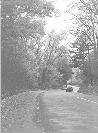 Hazelwood Lane. 1951 02
