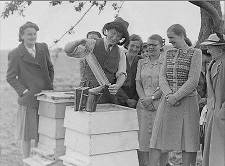 1948 Bee-Keeping 03