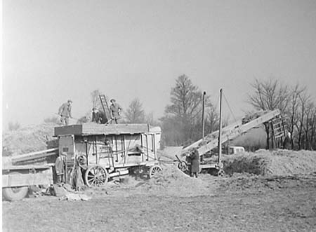 1952 Threshing 01