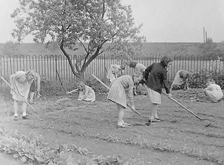 1949 Gardening 03