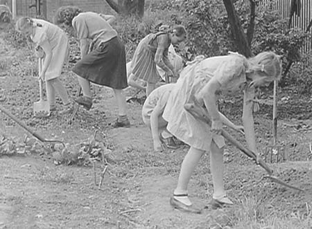 1949 Gardening 08