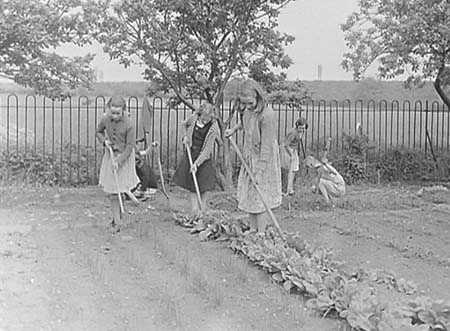 1949 Gardening 10