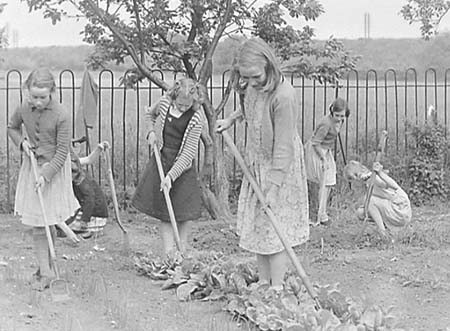 1949 Gardening 11