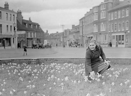 1948 Daffodils 02