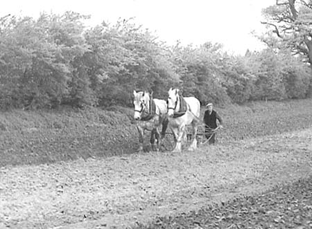 1949 Farming 05