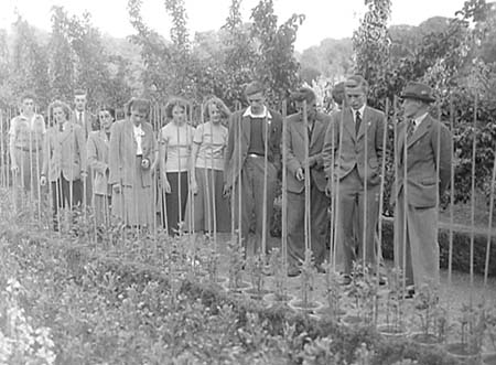 1950 Young Farmers 04