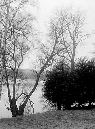 1952 Lake Views 01