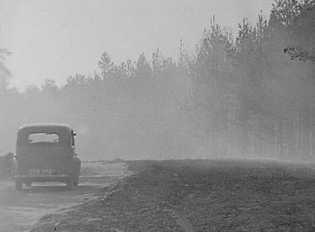 1947 Forest Fire 01