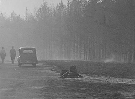 1947 Forest Fire 02