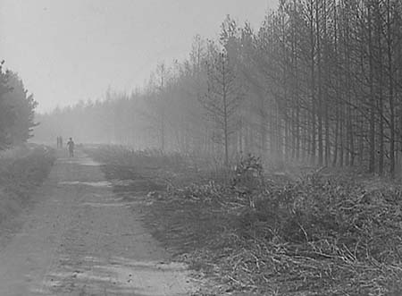 1947 Forest Fire 07