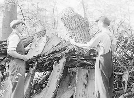 1948 Woodcutting 05