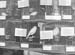 1949 Bird Shows 18
