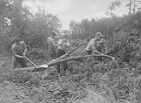 1943 Forestry 03