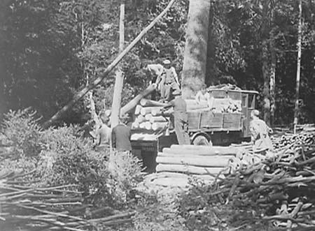 1943 Forestry 11