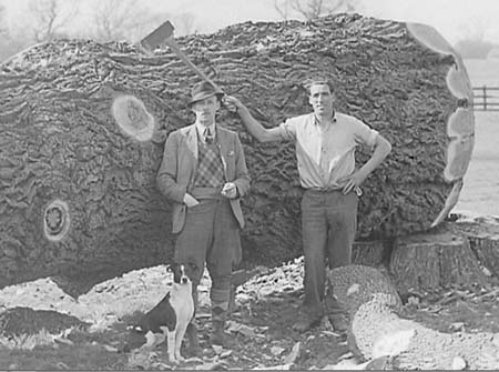 1945 Giant Tree 09
